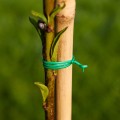 Drut ogrodniczy płaski, powlekany PCV 50m x 2mm  ENOPOL.jpg